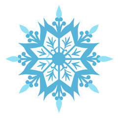 vector snowflake icon