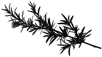Naklejka premium Elegant Rosemary Silhouette Logo Vector on White Background