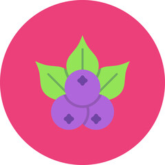 Berries Icon