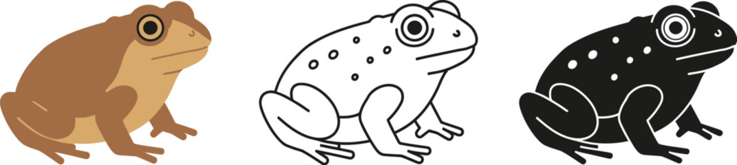 Three distinct illustrations of a frog a realistic colored drawing a simple line art sketch and a black silhouette