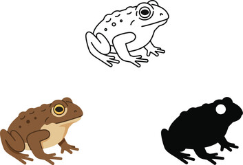 Three distinct representations of a toad detailed outline realistic color illustration and bold silhouette
