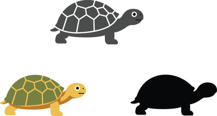 Three stylized illustrations of a tortoise showing a detailed drawing silhouette and a colorful cartoon representation