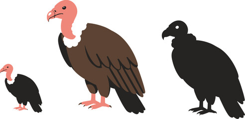 Two vultures one large and one small standing next to a black silhouette of a vulture