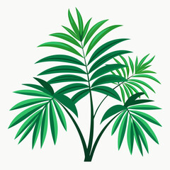 Tropical Palm Leaves
