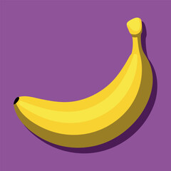 Banana Fruit Vector Illustration