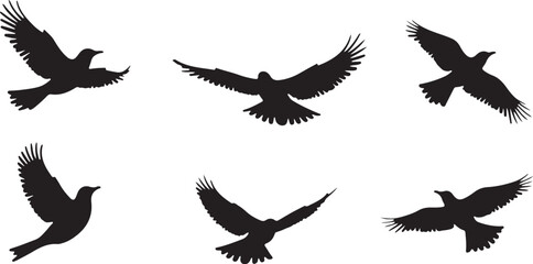 Obraz premium Soaring Bird Silhouettes Set for Nature-Inspired Designs 
