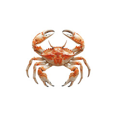 crab isolated on a transparent background, in a PNG format
