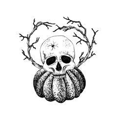Fototapeta premium Human skull, spider, branches on pumpkin graphic style. Vector illustration with white background. Hand drawn ink Halloween composition, Day of the Dead postcards, stickers, holiday decoration
