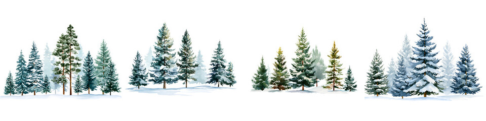 Watercolor Winter Forest Trees on White Background