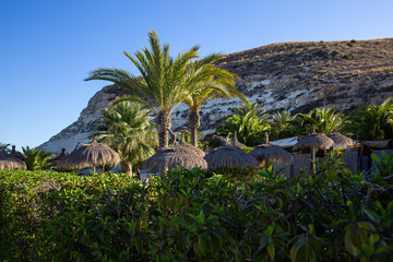 Vistas de palmeras en un pueblo de costa