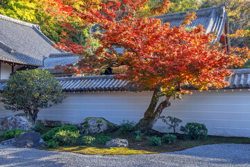 Scenic view of  Nanzenji  temple and Hojo garden with beautiful foliage in autumn in Kyoto, Japan