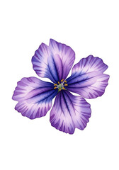 A single vibrant purple flower with irregular lavender, violet, and deep blue-purple petals, delicate watercolor textures, isolated on clean white background, front view, even bright studio light,