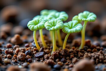 a closeup of spores germinating under perfect lab conditions demonstrating ideal ph and water