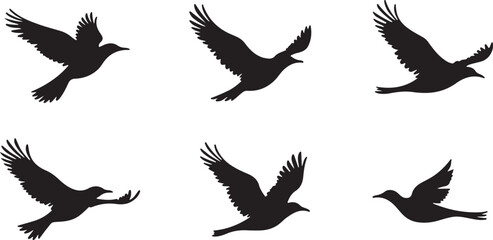 Flying Bird Silhouette Bundle