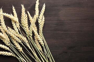 Many wheat spikes on wooden table, flat lay. Space for text