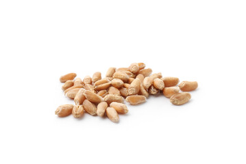 Pile of ripe wheat grains isolated on white