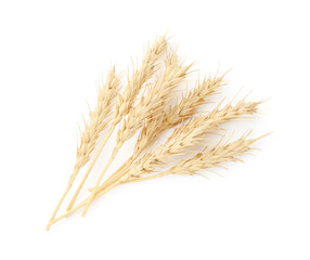 Dried spikes of wheat isolated on white, top view