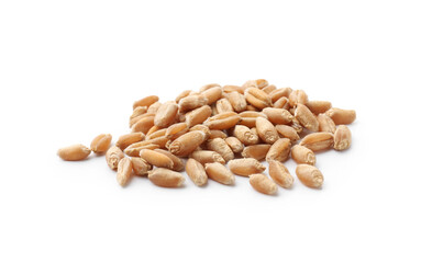 Pile of ripe wheat grains isolated on white