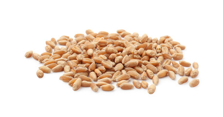 Many ripe wheat grains isolated on white