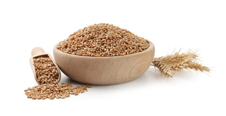 Wheat grains in bowl, wooden scoop and spikelets isolated on white
