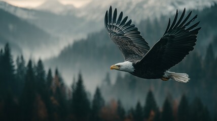 Majestic bald eagle soaring over a misty evergreen forest with mountains in the background