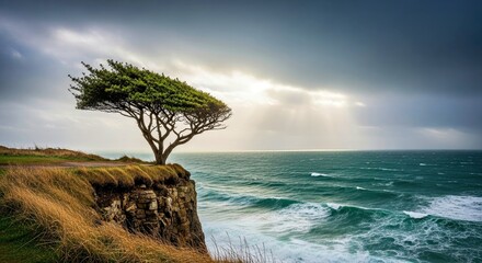 Lonely Tree on Coastal Edge: Witness the dramatic scene of a solitary tree, clinging to the edge of a cliff, battered by the wind, against the backdrop of the vast, dynamic ocean.