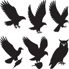 Vector art of collection of bird silhouettes isolated on white background, including eagles, hawks, and owls in various poses