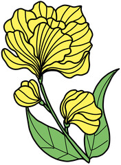 set of flowers 꽃 노란꽃