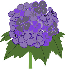 수국 꽃 보라색 여름꽃