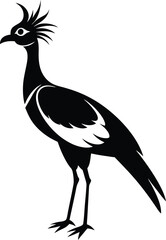 secretary bird on white background.eps