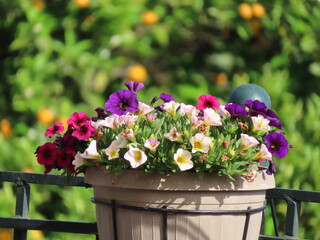 A serene village scene where colorful flowers bloom alongside lush trees, capturing the peaceful rhythm of rural life and the beauty of nature in harmony with traditional living.