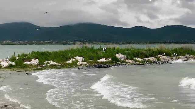 Large rocks and plants line windswept lake shore, dramatic clouds, storm waves
