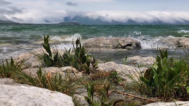 Large rocks and plants line windswept lake shore, dramatic clouds, storm waves