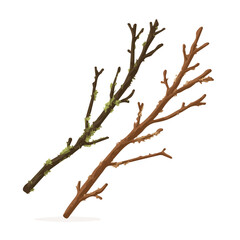 Isometric 2D vector illustration of dry twigs and forest moss brow, flat cute design isolated on transparent background — designed by me, animation-inspired.