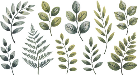 Green Leaves Watercolor Illustration Botanical Elements with Fern, Branches, and Simple Foliage