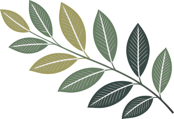 Stylized Branch with Green and Olive Leaves and White Veins on White Background