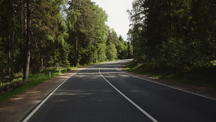 Naklejka premium driving plate through forest in sunny summer day