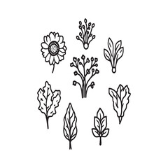 Organic garden microgreens hand drawn vector sketch.eps