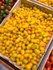 Colorful variety of fresh yellow tomatoes displayed in a wooden crate at a local market in the afternoon sun