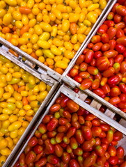 Freshly harvested tomatoes in vibrant colors arranged in wooden crates at a local market during the summer season