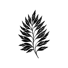 Obraz premium Black Silhouette of a Fern Frond.