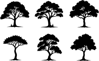 Fototapeta premium Majestic Tree Silhouette Collection – 7 Elegant Nature Designs