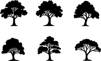 Fototapeta premium Majestic Tree Silhouette Collection – 7 Elegant Nature Designs