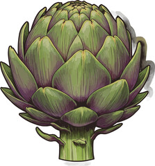 Obraz premium Detailed illustration of a fresh green artichoke with purple hues and intricate leaf patterns, showcasing its unique texture and natural beauty