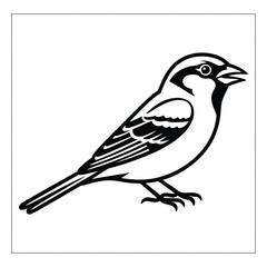 A Black color animal sparrow Bird Vector Art silhouette 