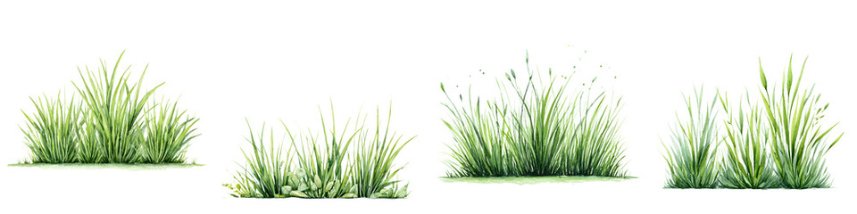 Fototapeta premium Green Grass Clumps: Watercolor Illustration, Nature Element, Lawn