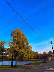 Autumn landscape with yellow trees, green lawns and a river on a sunny day in Saint Petersburg....