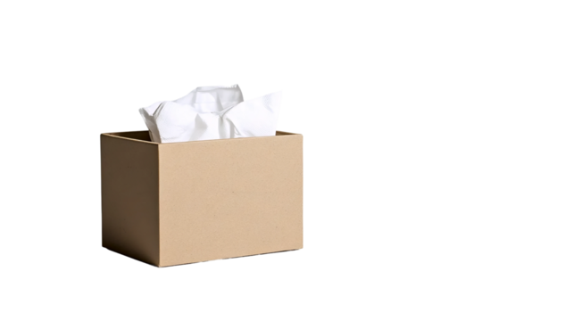 White Minimal Tissue Box