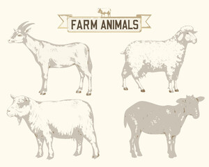 farm animals collection