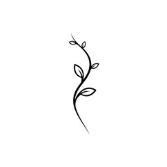 Elegant Black Line Art: Curving Stem with Delicate Leaves Design